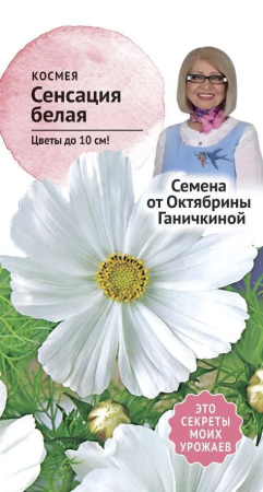 Космея Сенсация белая 0,3 г фото в интернет-магазине "Сортовые семена"