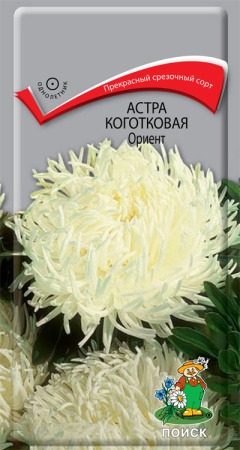 Астра коготковая Ориент (ЦП) 0,3 фото в интернет-магазине "Сортовые семена"