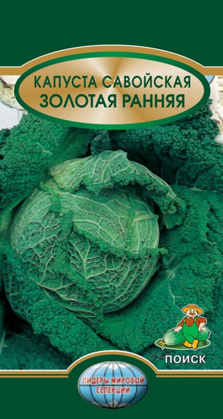 Капуста савойская Золотая ранняя (ЦВ*) 0,5гр. фото в интернет-магазине "Сортовые семена"