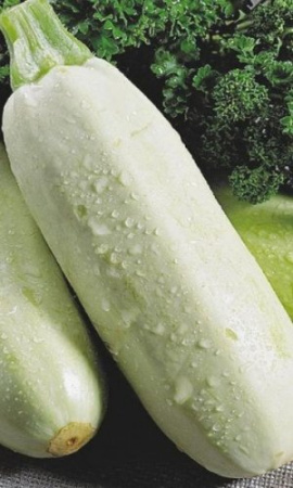 Кабачок Белоплодный фото в интернет-магазине "Сортовые семена"