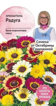 Хризантема Радуга 0,5 г фото в интернет-магазине "Сортовые семена"