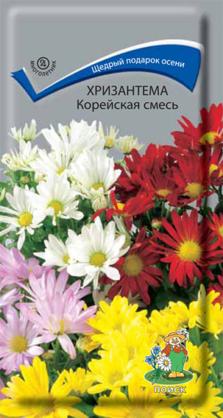 Хризантема Корейская смесь (ЦП) 0,05 фото в интернет-магазине "Сортовые семена"