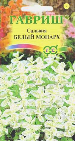Сальвия Белый монарх хорминум* 0,05 г фото в интернет-магазине "Сортовые семена"