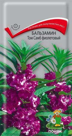 Бальзамин Том Самб фиолетовый ( ЦВ) ("1) 0,1гр. фото в интернет-магазине "Сортовые семена"
