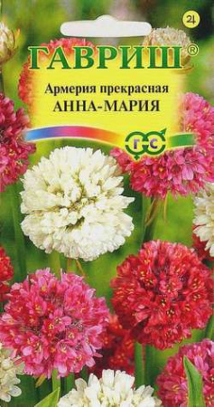 Армерия Анна Мария (красивая) 0,03 г фото в интернет-магазине "Сортовые семена"