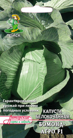 Капуста белокочанная Купидон F1 фото в интернет-магазине "Сортовые семена"