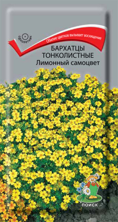 Бархатцы тонколистные Лимонный самоцвет (ЦП) 0,1 фото в интернет-магазине "Сортовые семена"