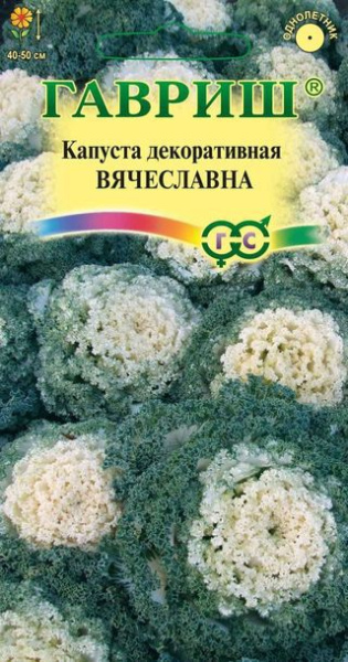 Капуста декоративная Вячеславна* 0,1 г,воронежская белая фото в интернет-магазине "Сортовые семена"