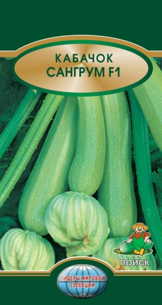 Кабачок Сангрум F1 (5шт.) фото в интернет-магазине "Сортовые семена"