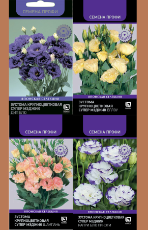 Эустома крупноцветковая Супер Мэджик F1 Takii, Набор_1 (4 уп-ки) , Поиск фото в интернет-магазине "Сортовые семена"