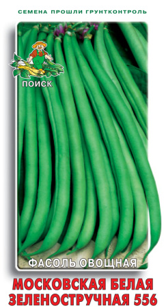 Фасоль овощная Московская белая зеленостручная 556 фото в интернет-магазине "Сортовые семена"