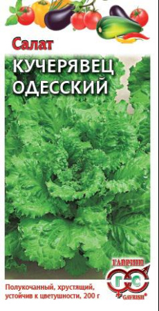 Салат Кучерявец Одесский 0,5 г хрустящий фото в интернет-магазине "Сортовые семена"