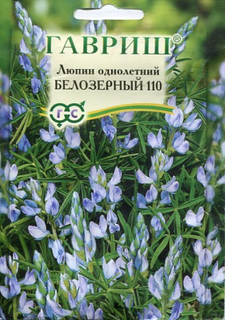 Люпин однолетний Белозерный 110 (Сидерат)  20,0 г фото в интернет-магазине "Сортовые семена"