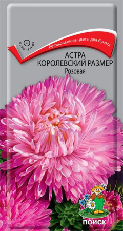 Астра королевский размер Розовая (ЦП) 0,1 фото в интернет-магазине "Сортовые семена"