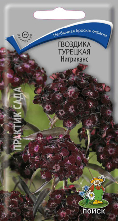 Гвоздика Турецкая Нигриканс (ЦП) 0,3 фото в интернет-магазине "Сортовые семена"