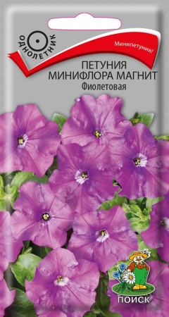 Петуния минифлора Магнит Фиолетовая (ЦП) 10 фото в интернет-магазине "Сортовые семена"