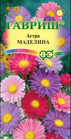 Астра Маделина, смесь 0,3 г фото в интернет-магазине "Сортовые семена"