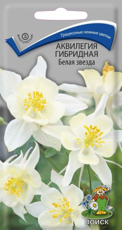 Аквилегия гибридная Белая звезда фото в интернет-магазине "Сортовые семена"