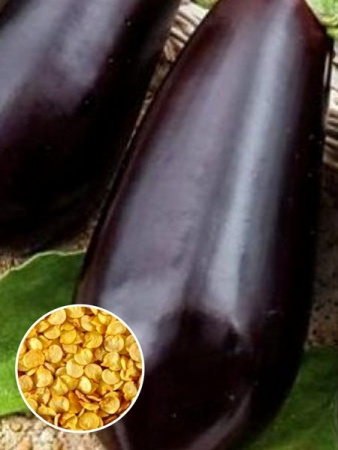 Баклажан Алмаз (1 кг) фото в интернет-магазине "Сортовые семена"