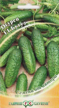 огурцы бутуз описание сорта. Смотреть фото огурцы бутуз описание сорта. Смотреть картинку огурцы бутуз описание сорта. Картинка про огурцы бутуз описание сорта. Фото огурцы бутуз описание сорта огурцы бутуз описание сорта. Смотреть фото огурцы бутуз описание сорта. Смотреть картинку огурцы бутуз описание сорта. Картинка про огурцы бутуз описание сорта. Фото огурцы бутуз описание сорта