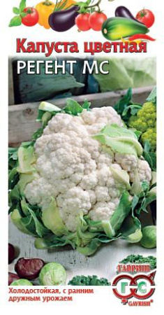 Капуста цветная Регент МС 0,2 г фото в интернет-магазине "Сортовые семена"