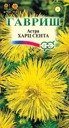 Астра Харц Сента 0,3 г, тонкоигольчая желтая фото в интернет-магазине "Сортовые семена"