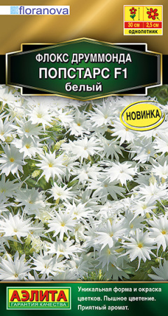 Флокс друммонда Попстарс F1 белый ---   Одн Сел. Floranova Золотая серия фото в интернет-магазине "Сортовые семена"
