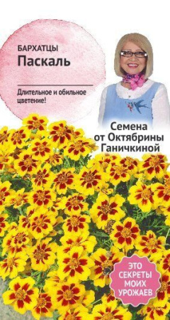 Бархатцы Паскаль 0,15 г фото в интернет-магазине "Сортовые семена"