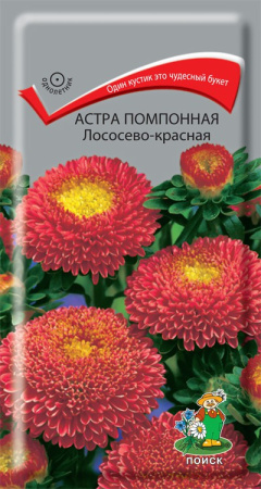 Астра помпонная Лососево-красная (ЦВ) ("1) 0,3гр. фото в интернет-магазине "Сортовые семена"
