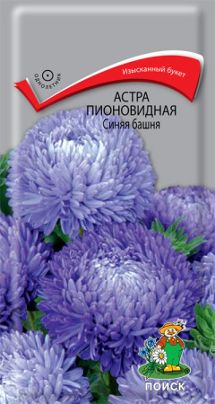 Астра пионовидная Синяя башня (ЦП) 0,3 фото в интернет-магазине "Сортовые семена"