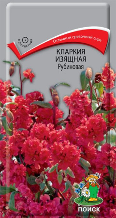 Кларкия (ноготковая) изящная Рубиновая (ЦВ ) ("1) 0,2гр. фото в интернет-магазине "Сортовые семена"