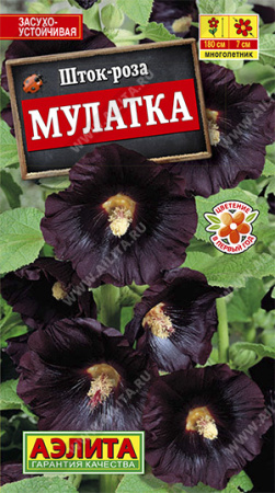 Шток-роза Мулатка ---   Мн фото в интернет-магазине "Сортовые семена"