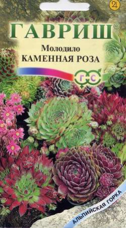 Молодило Каменная Роза* 0,01 г серия Альпийская горка фото в интернет-магазине "Сортовые семена"