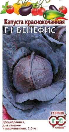 Капуста краснокоч. Бенефис F1 0,1 г фото в интернет-магазине "Сортовые семена"