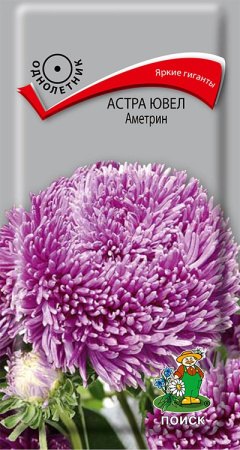 Астра ювел Аметрин (ЦП) 0,2 фото в интернет-магазине "Сортовые семена"