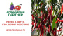 Перец Острый Флорентина F1 фото в интернет-магазине "Сортовые семена"