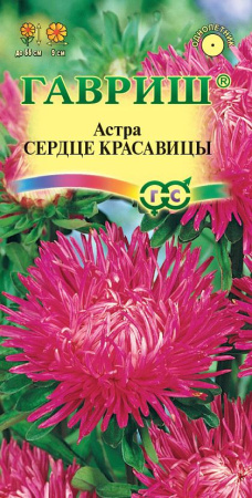 Астра Сердце красавицы 0,3 г, игольчатая красно-пурпурная фото в интернет-магазине "Сортовые семена"