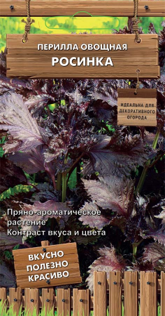 Перилла овощная Росинка фото в интернет-магазине "Сортовые семена"