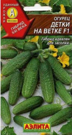Огурец Детки на Ветке Аэлита Ц фото в интернет-магазине "Сортовые семена"