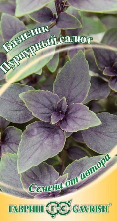 Базилик Пурпурный салют, красный 0,3 г  автор. Н14 фото в интернет-магазине "Сортовые семена"