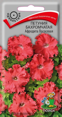 Петуния бахромчатая Афродита лососевая (ЦВ) ("1) 10шт фото в интернет-магазине "Сортовые семена"