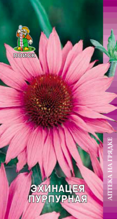 Эхинацея пурпурная Ливадия фото в интернет-магазине "Сортовые семена"