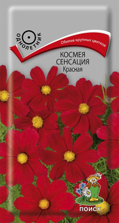 Космея Сенсация Красная (ЦП) 0,3 фото в интернет-магазине "Сортовые семена"
