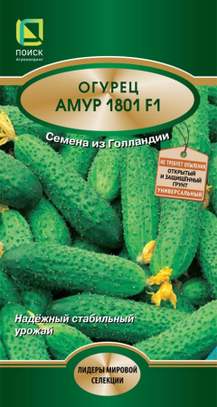 Огурец Амур 1801 F1 (10шт.) фото в интернет-магазине "Сортовые семена"