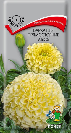 Бархатцы прямостоячие Аляска (ЦП) 0,4 фото в интернет-магазине "Сортовые семена"