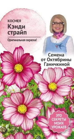 Космея Кэнди страйп 0,3 г фото в интернет-магазине "Сортовые семена"
