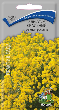 Алиссум скальный Золотая россыпь (ЦП) 0,1 фото в интернет-магазине "Сортовые семена"
