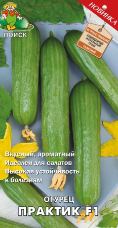 Огурец Практик F1  (ЦВ) 12шт. фото в интернет-магазине "Сортовые семена"