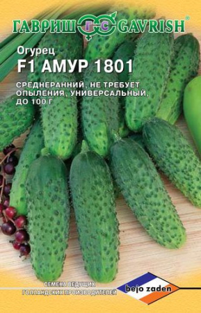 Огурец Амур 1801 F1 5 шт. (Голландия) фото в интернет-магазине "Сортовые семена"