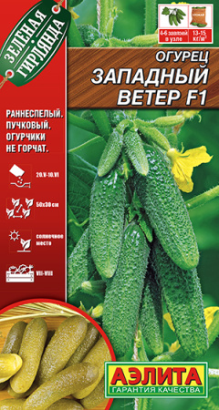 Огурец Западный ветер F1 ---   Парт Зеленая гирлянда фото в интернет-магазине "Сортовые семена"